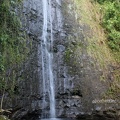 Manoa Falls